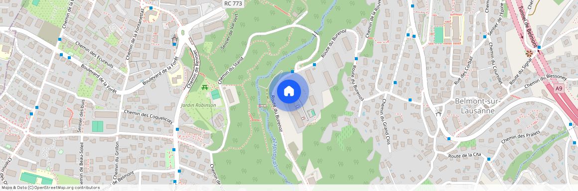 Route Du Burenoz 43, 1092 Belmont-sur-Lausanne