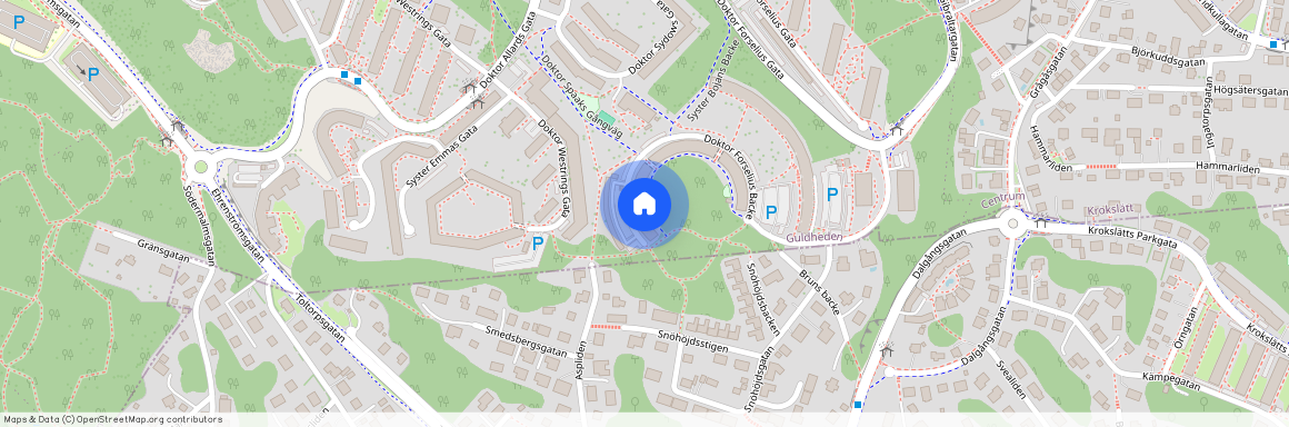 Guldheden, Göteborg, Västra Götaland, Doktor Forselius Backe 60