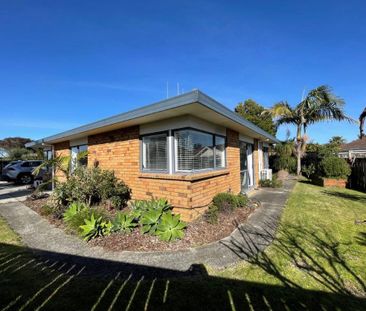 Recently Refurbished - Papamoa - Photo 3