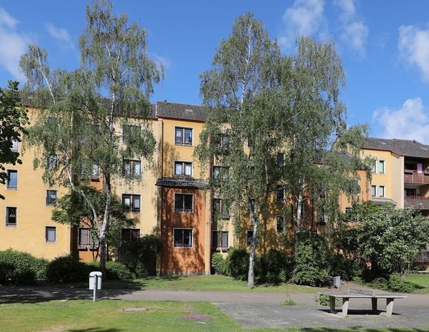 Ohne Stufen zu Ihrer neuen Wohnung // EG Wohnung 4 - Foto 1