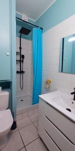 Location Appartement 2 pièces 30m² MILLAU 12100 - Photo 4
