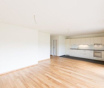 Moderne Wohlfühloase sucht Bewohner - ein Nettomietzins geschenkt - Photo 5