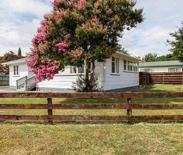 Charming 3 Bedroom Home - Photo 3