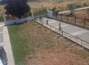Μονοκατοικία για ενοικίαση - Θέρμη, - Φωτογραφία 3