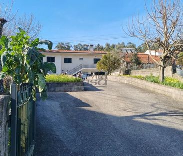 Croca, Porto - Photo 3