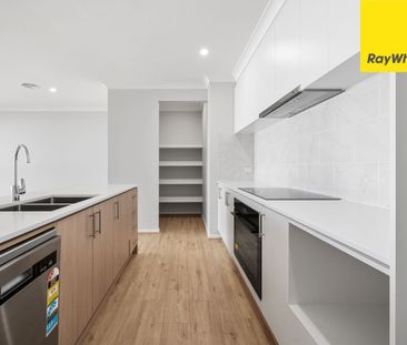 Brand New Family Home in Bungendore's Elm Estate - Photo 3