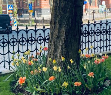 Viktoriagatan, Göteborg - Photo 1