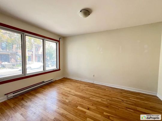 8060, Rue Saint-Dominique, Le Plateau-Mont-Royal à louer - Photo 1