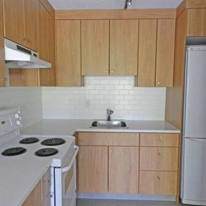 Newly Renovated 1 Bedroom at Pineview Place - Photo 2