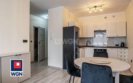 Apartament na wynajem Bolesławiec - Zdjęcie 5
