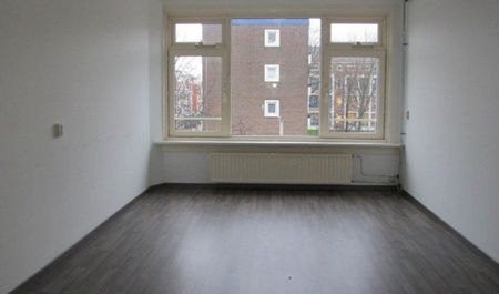 Franselaan 0ong, 3028 Rotterdam, Nederland - Photo 3