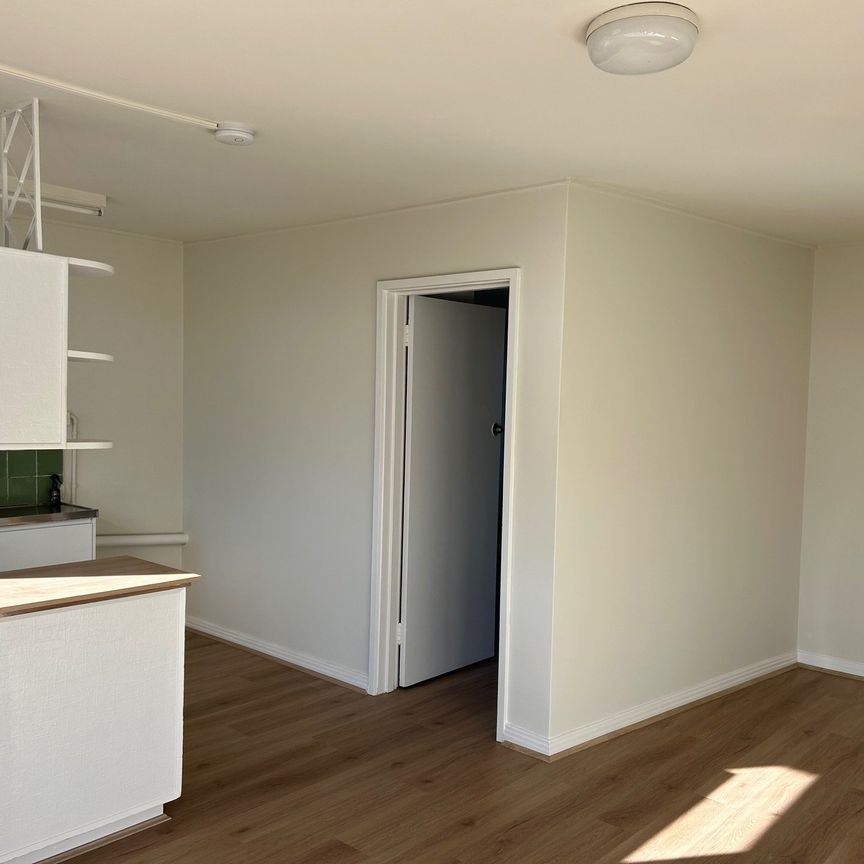CHARMING RENOVATED APARTMENT IN THE HEART OF NORTHCOTE - Photo 1