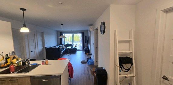 5 1/2 neuf 2024- Gym, piscine, internet & Électros inclus - Cession de bail - Photo 2