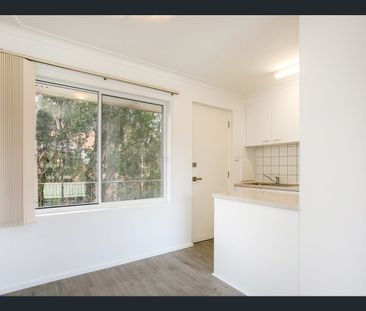 Renovated Apartment Moments From Dee Why Beach - Photo 4