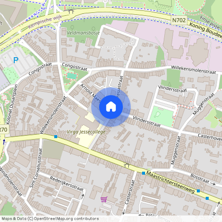 Theresiastraat, 3500 Hasselt