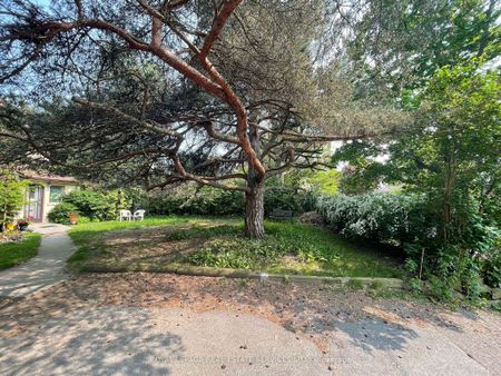 For Lease - 239 Ellis Avenue Unit# Upper, Toronto, Ontario - Photo 3