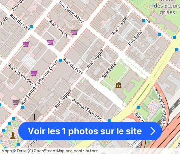 Le Shaughnessy | 1230 Rue du Fort, Montreal - Photo 1