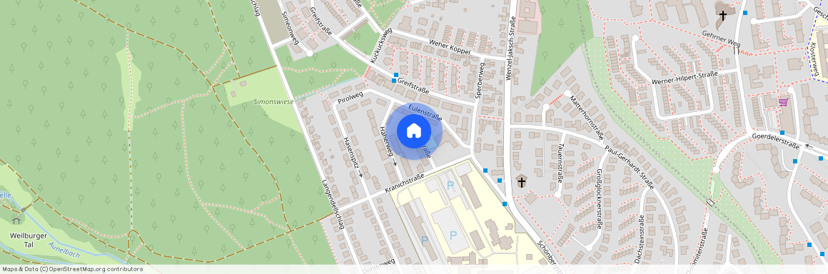 Falkenstraße 6, 65199, Wiesbaden