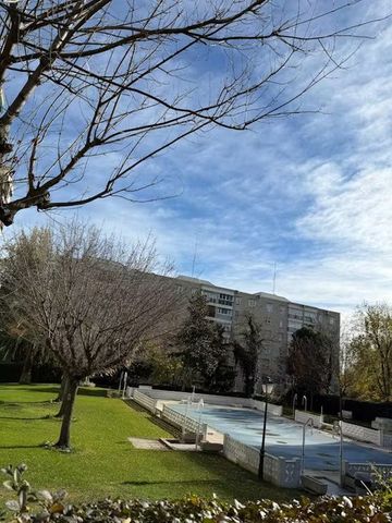 Calle de la Codorniz, Madrid, Community of Madrid 28047 - Photo 3