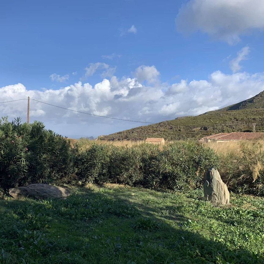 F3 COL SAN STEFANO - OLMETA DI TUDA - Photo 1