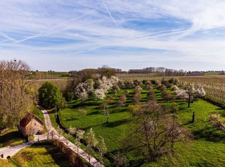 Vlaamse rust: ontstressen op een historische site, vlakbij het drukke Maastricht - Photo 3