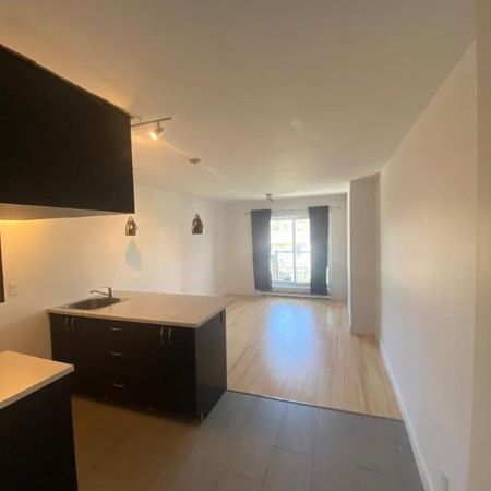 1 CH - 1 SDB - Montréal - $1,299 /mo - Photo 3