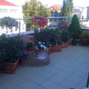 3 rooms luxury apartment for rent Iasi center # code 102 - Photo 3