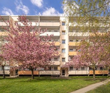 3-Zimmer-Wohnung mit Balkon! - Photo 1