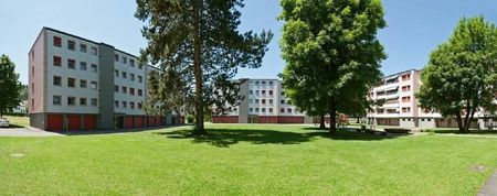 Gemütliche Wohnung zu vermieten - Photo 5