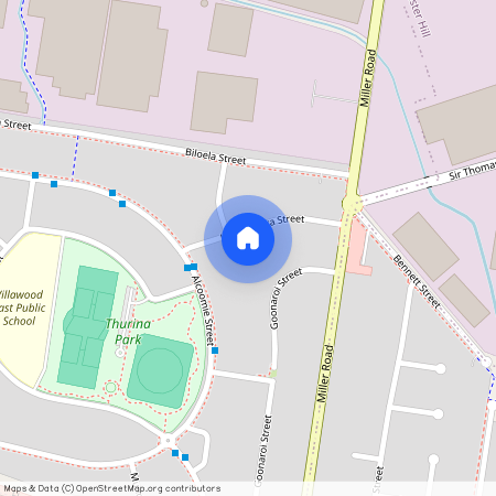 19 Koonawarra Street, NSW 2163, Villawood