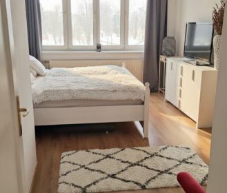 3-ZIMMER-WOHNUNG MIT BALKON IN BAD VÖSLAU HINTER DEM SCHLOSSPARK - Photo 6