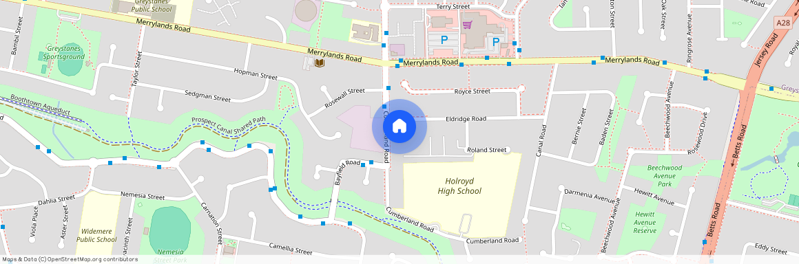 35 Cumberland Rd, NSW 2145, Greystanes