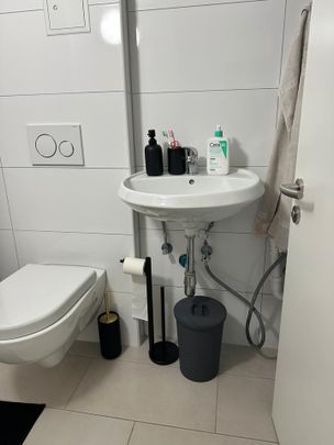 Wohnung in Gießen zu vermieten zum 01.02.2026 - Photo 1