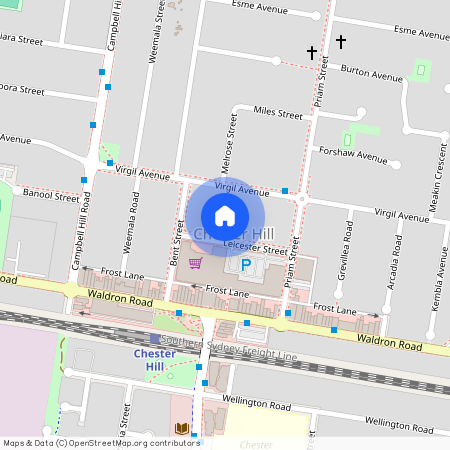 16 Leicester Street, 2162, Chester Hill Nsw