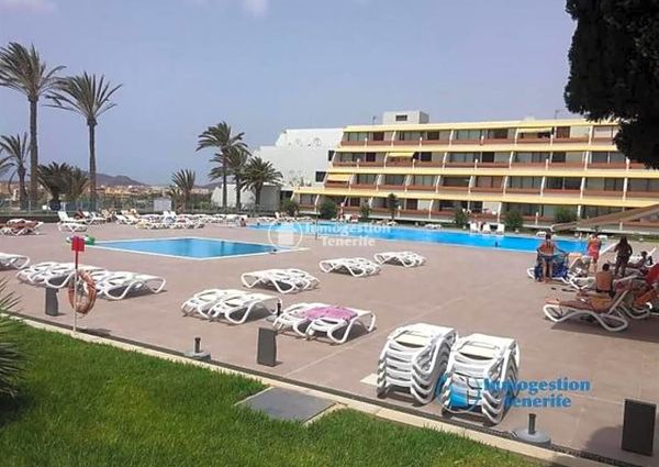 *Rent season apartment in Las Galletas