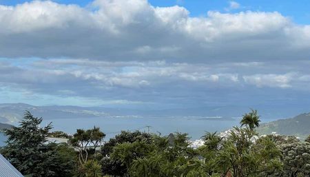 Sunny 2BR Home with harbour views in Brooklyn - Photo 3