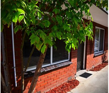 1/61-65 Harold Street, Thornbury VIC 3071 - Apartment For Rent | Do... - Photo 3