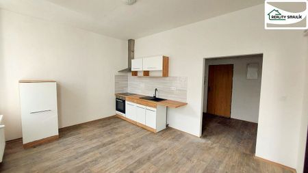 Pronájem bytu 1+1 75 m² - Photo 2