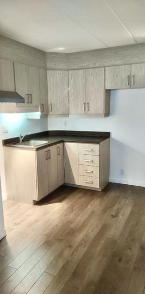 COQUET 2 1/2 TOUT RÉNOVÉ, GYM, PISCINES - À VOIR - Photo 1