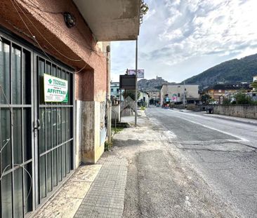 Multilocale in affitto - Photo 1