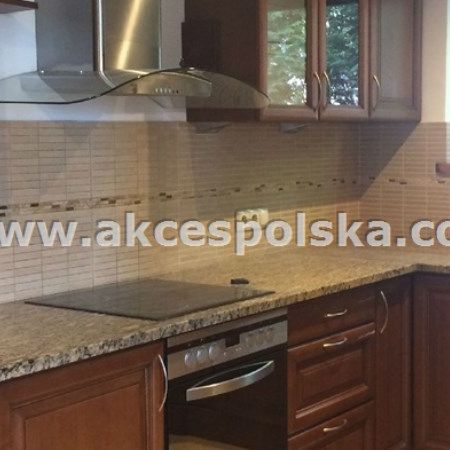 Dom na wynajem - Photo 1