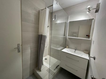 Location Appartement 3 pièces 49m² GRENOBLE 38000 - Photo 3