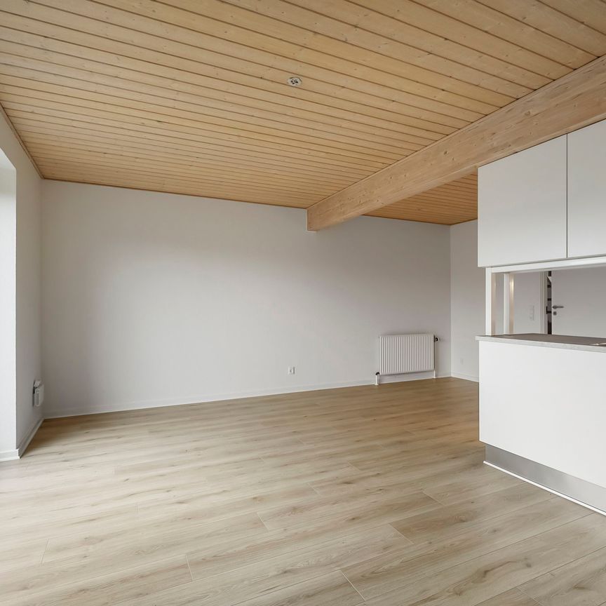 Attraktive lejeboliger i Fraugde, med plads til familien - Photo 1