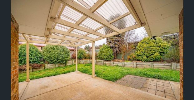 53 Ash Tree Drive, Armidale, NSW 2350 - Photo 1