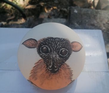 Parramatta Park - Photo 3