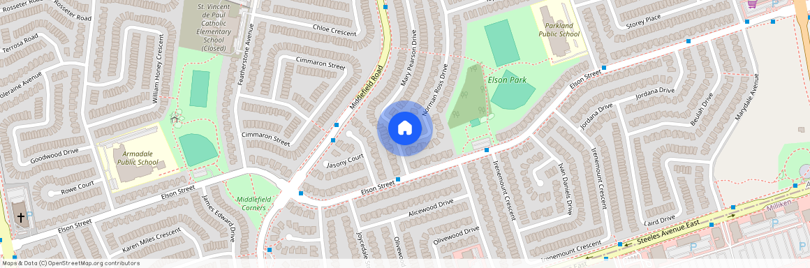 161 Mary Pearson Drive #Bsmt, Markham, Middlefield