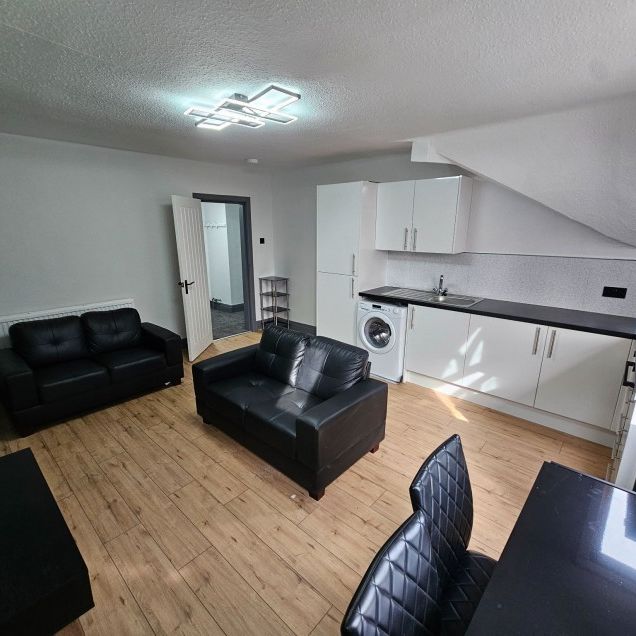 Daisy Bank Road, Manchester, M14 - Photo 1