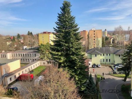 Pronájem, Byty 1+kk, 20 m - Fotografie 4