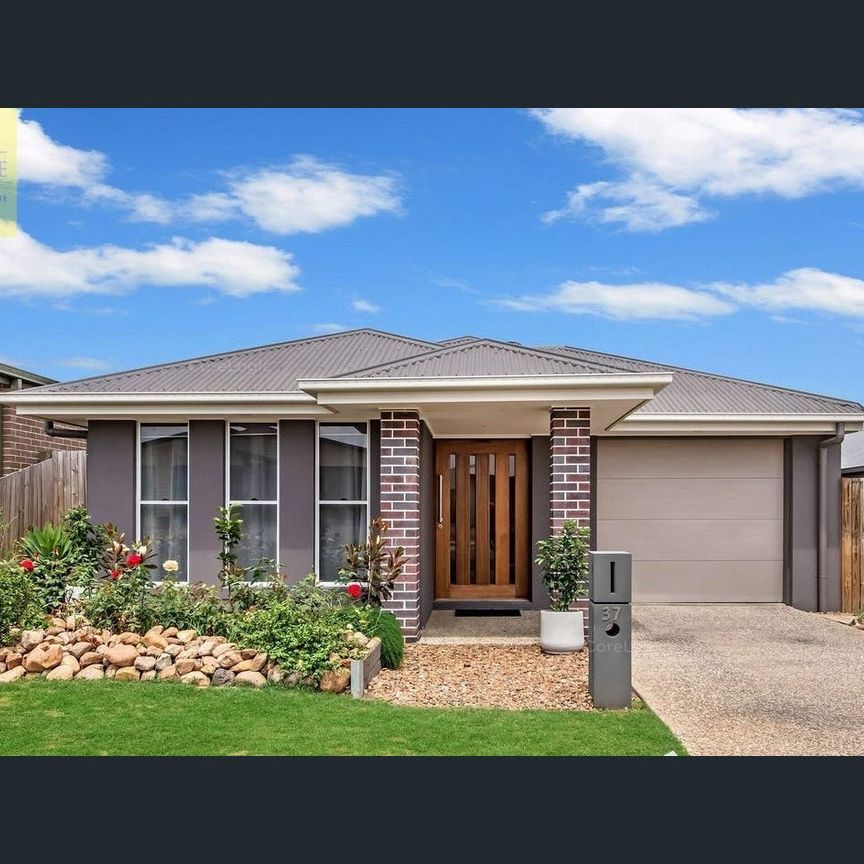 🌿 Modern Comfort Meets Family Living in Ripley - Photo 1