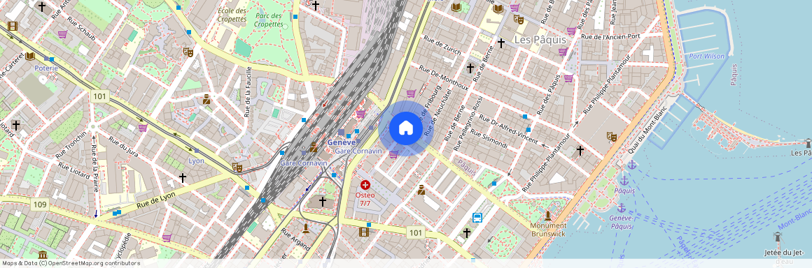 Rue Pradier 12, 1201 Genève